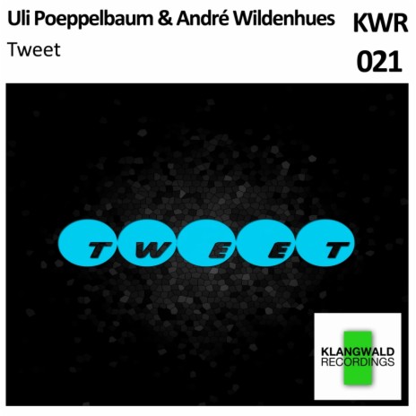 Tweet (Original Mix) ft. Andre Wildenhues