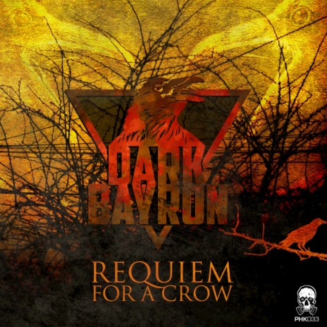 Requiem For A Crow (Original Mix)