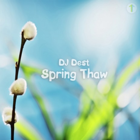 Spring Thaw (Original Mix) | Boomplay Music