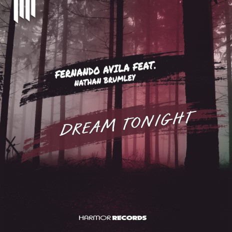 Dream Tonight ft. Nathan Brumley | Boomplay Music