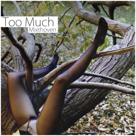 Too Much (Original Mix) | Boomplay Music