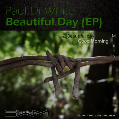 Beautiful Day (Original Mix)