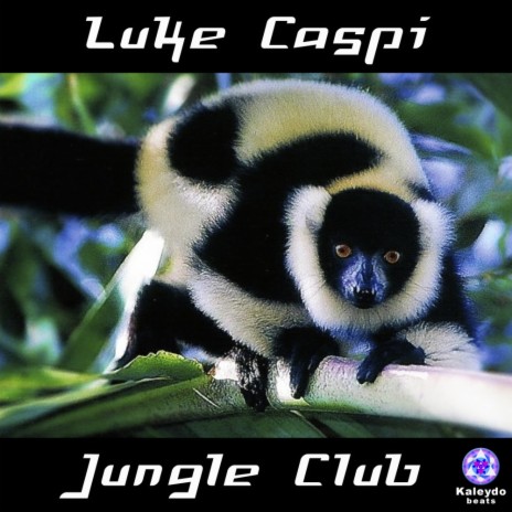 Jungle Club (Original Mix)