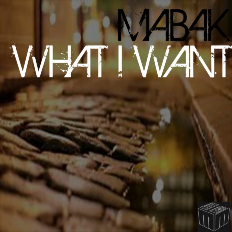 What I Want (Original Mix)