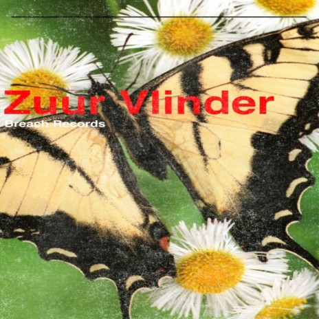 Zuur Vlinder (Original Mix) | Boomplay Music