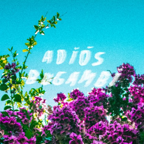 Adiós Bugambi | Boomplay Music