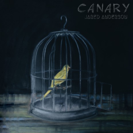 Canary | Boomplay Music