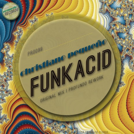 Funkacid (Original Mix)