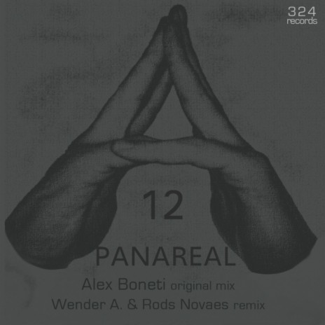 Panareal (Rods Novaes, Wender A. Remix) | Boomplay Music