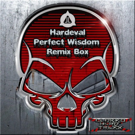 Perfect Wisdom (Krypton Remix) | Boomplay Music