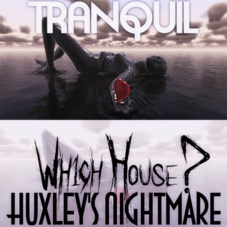 Tranquil (Original Mix) ft. Huxley's Nightmare | Boomplay Music