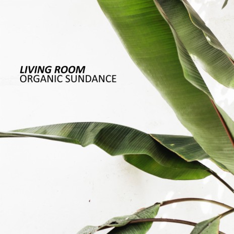 Organic Sundance | Boomplay Music