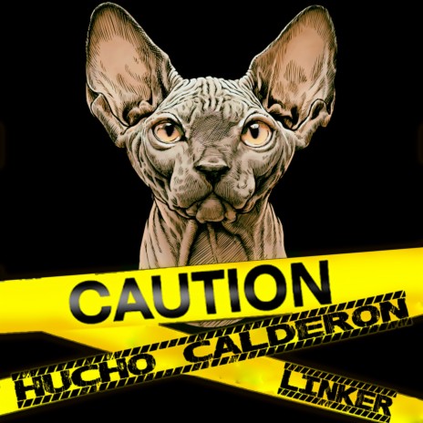 Caution ft. Linker | Boomplay Music