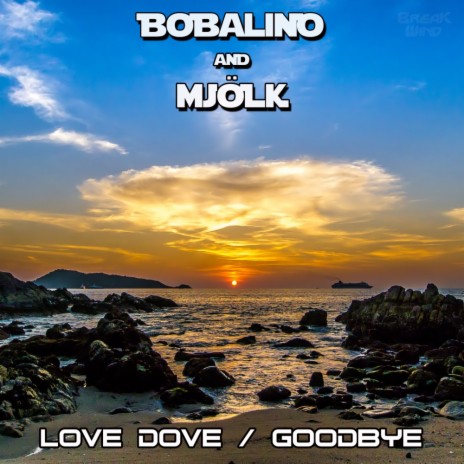 Goodbye (Original Mix) ft. Mjolk | Boomplay Music