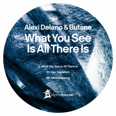 What You See Is All There Is (Original Mix) ft. Butane