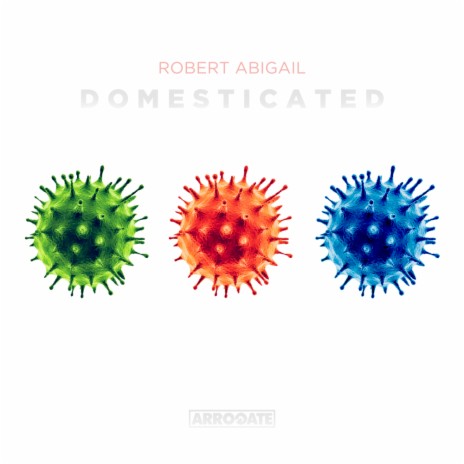 Domesticated (Original Mix) | Boomplay Music