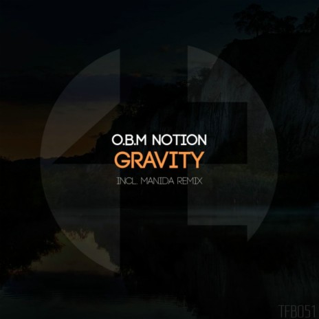 Gravity (Manida Remix)