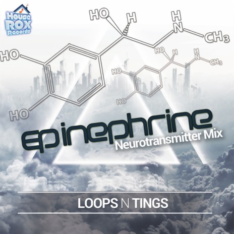 Epinephrine (Neurotransmitter Mix) | Boomplay Music