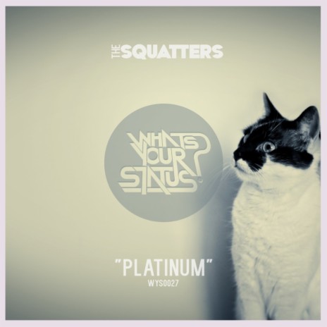 Platinum (Original Mix)