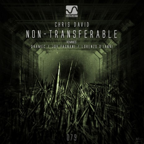 Non-Transferable (Original Mix)
