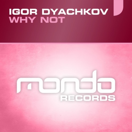 Why Not (Original Mix) | Boomplay Music