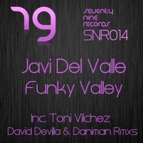 Funky Valley (Original Mix)