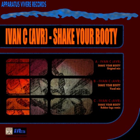 Shake Your Booty (Original Mix)