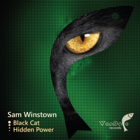Hidden Power (Original Mix) | Boomplay Music