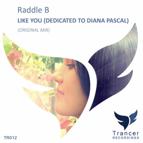 Like You (Dedicated To Diana Pascal) (Original Mix)