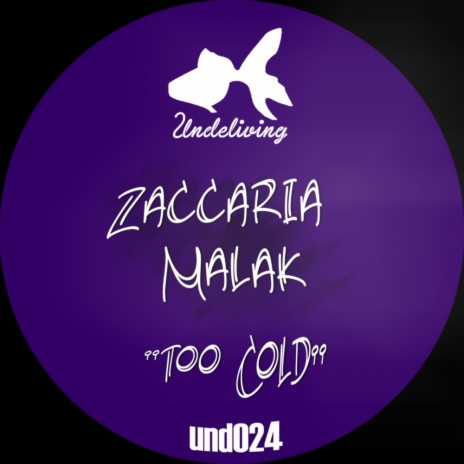 Too Cold (Paolo Tamoni Remix) | Boomplay Music