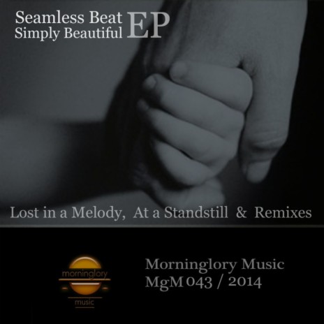 Lost In A Melody (Original Mix)