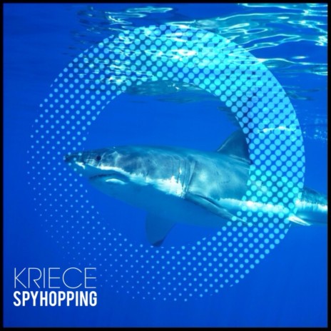 Spyhopping (Original Mix) | Boomplay Music