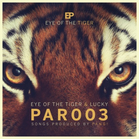 Eye Of The Tiger (Original Mix) | Boomplay Music