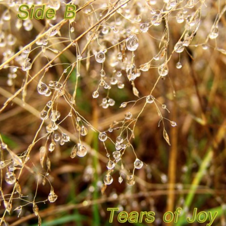 Tears of Joy (Original Mix) | Boomplay Music