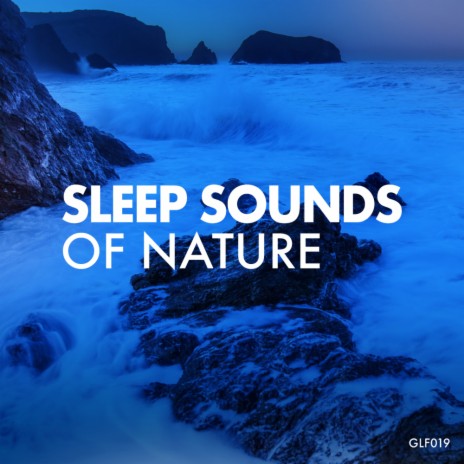 Ocean Sounds (Original Mix)