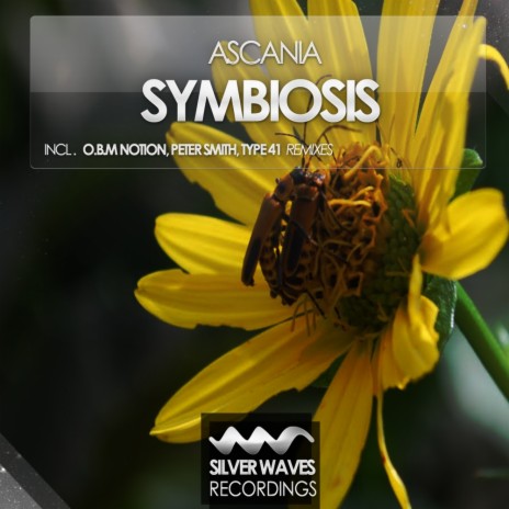 Symbiosis (O.B.M Notion Remix) | Boomplay Music