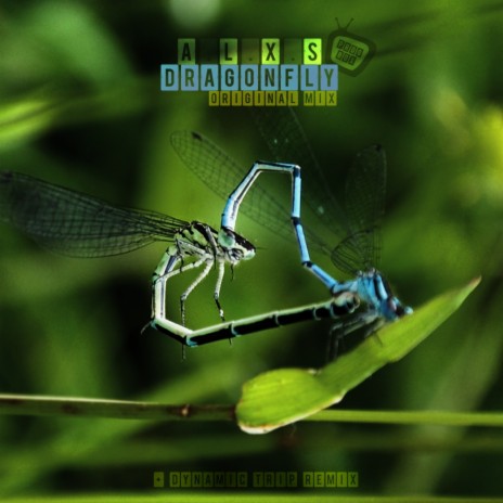 Dragonfly (Dynamic Trip Remix) | Boomplay Music