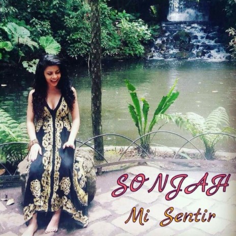 Mi Sentir | Boomplay Music