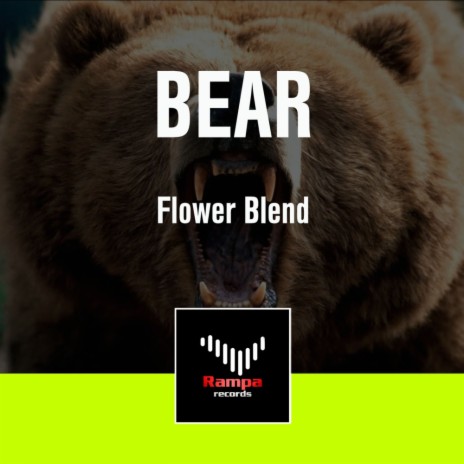 Bear (Original Mix) | Boomplay Music