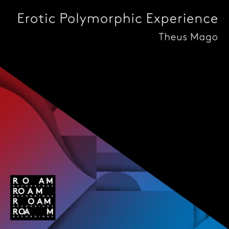 Erotic Polymorphic Experience (Brioski Remix) | Boomplay Music