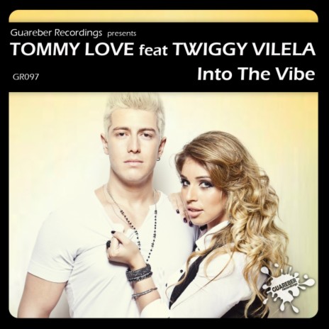 Into The Vibe (Radio Edit Mix) ft. Twiggy Vilela | Boomplay Music