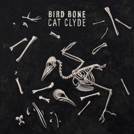 Bird Bone | Boomplay Music