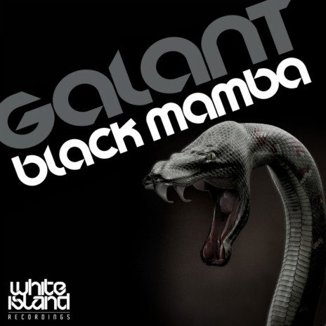 Black Mamba (Original Mix) | Boomplay Music