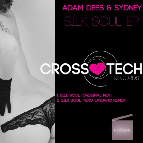 Silk Soul (Niro Lassano Remix) ft. Sydney