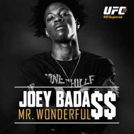 Mr. Wonderful | Boomplay Music