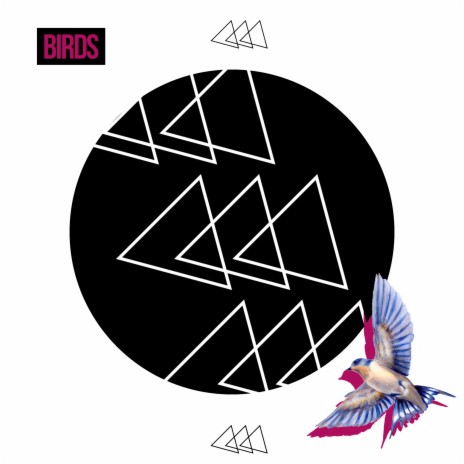 Birds | Boomplay Music