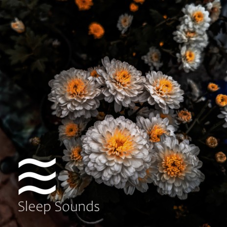 Better sleep white noise shusher | Boomplay Music