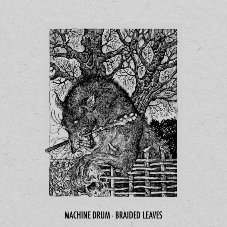 Braided Leaves (Original Mix)