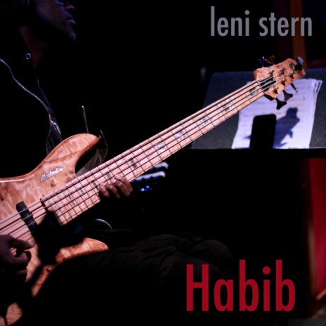 Habib (feat. Mike Stern, Leo Genovese, Mamadou Ba & Alioune Faye) | Boomplay Music