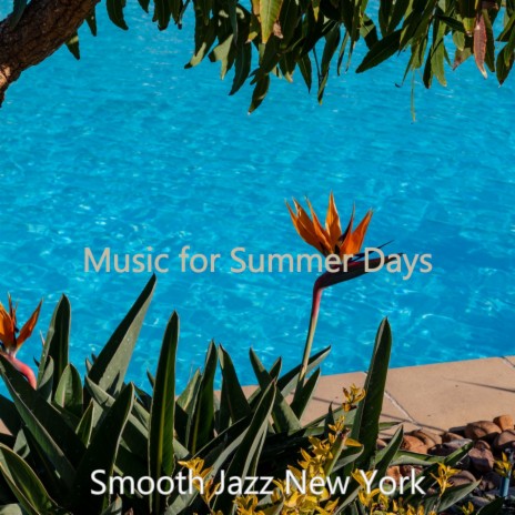 Vibraphone Solo - Music for Summertime